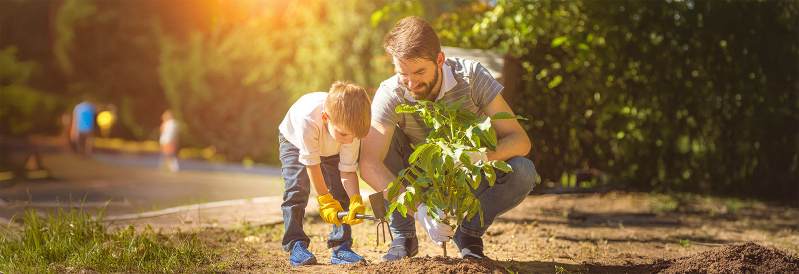 Parent and child planting a young tree