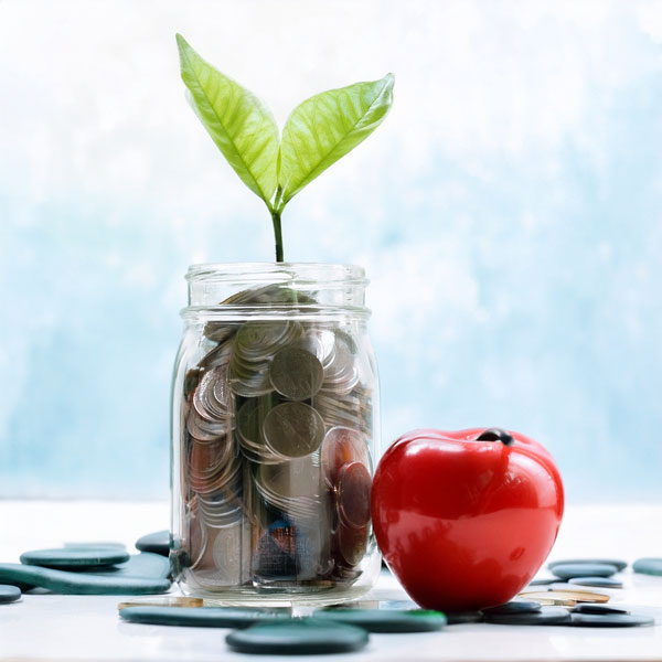 Financial wellness education