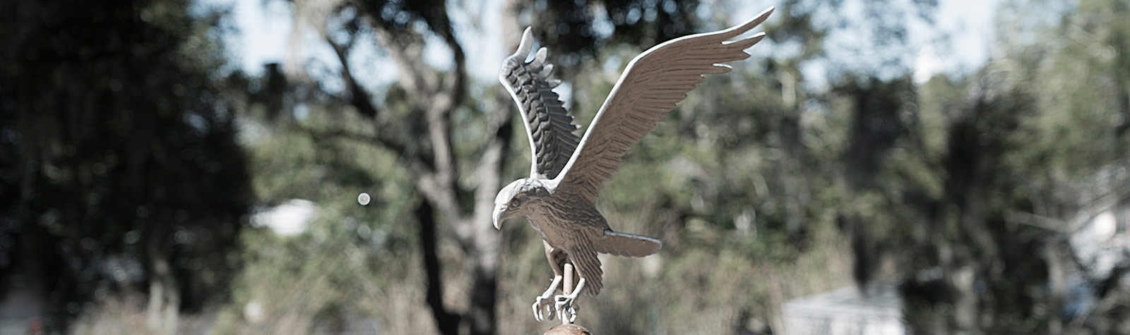 eagle weather vane