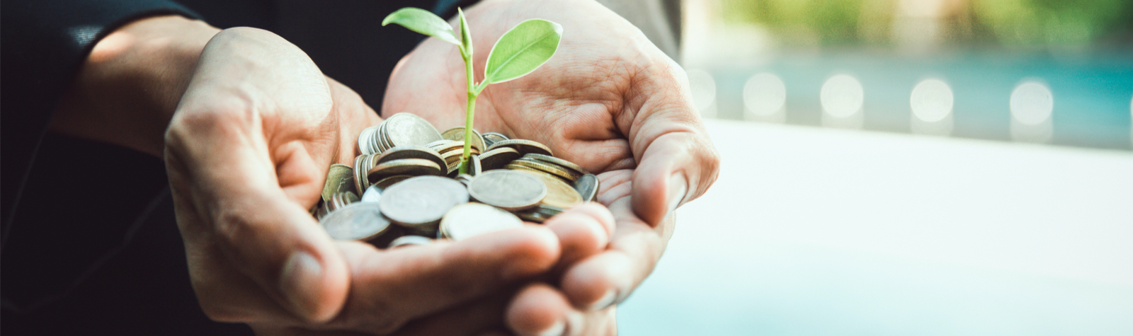 Make your money grow